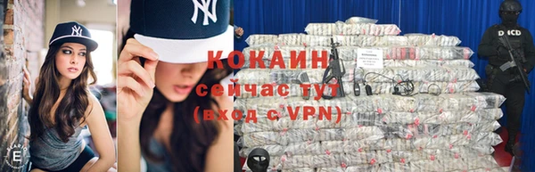 дживик Верея