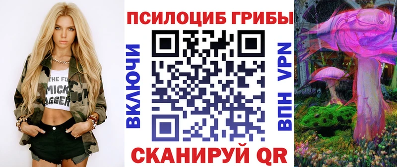 Галлюциногенные грибы Psilocybe  Купить где  Духовщина 